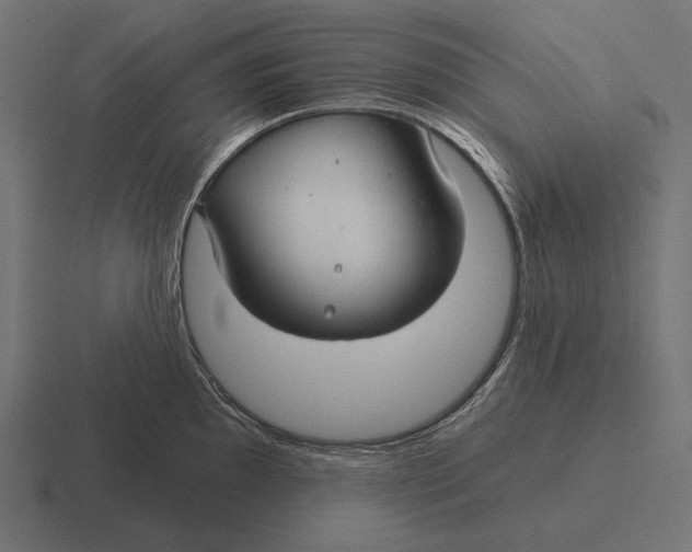 X0000116591097200912291303