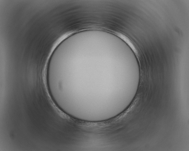 X0000116591098200912291303