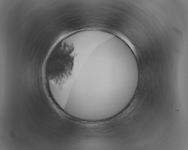 X0000116591099200912291303