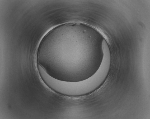 X0000116591100200912291303