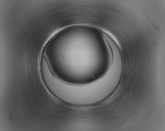 X0000116591101200912291303