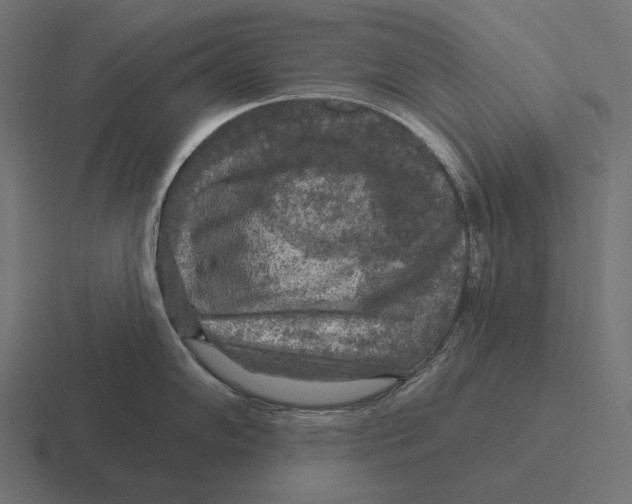 X0000116591102200912291303