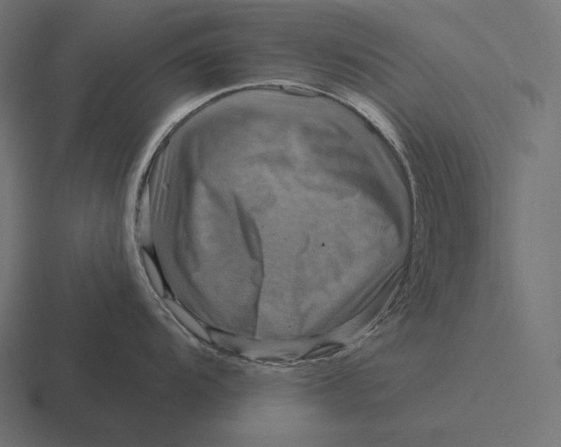 X0000116591104200912291303