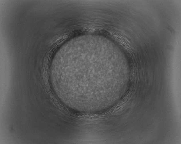 X0000116591105200912291302