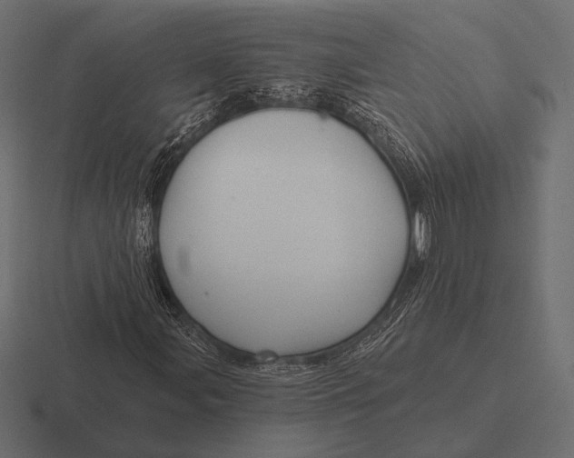 X0000116591107200912291302