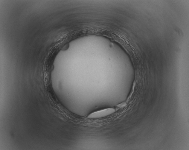 X0000116591109200912291302