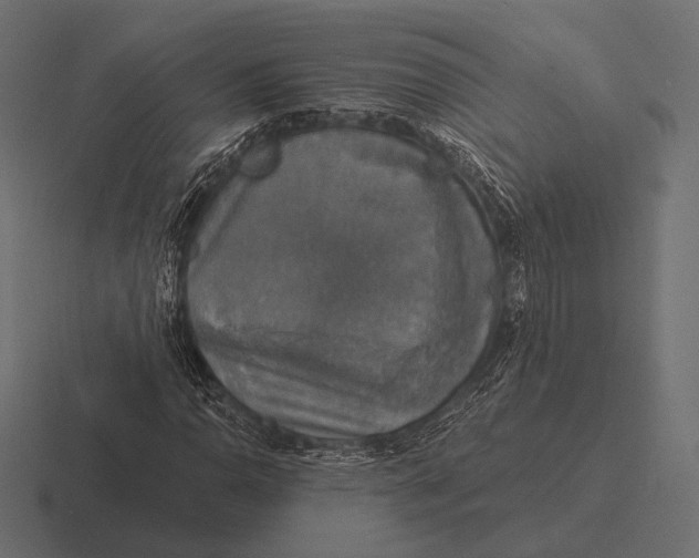 X0000116591110200912291302