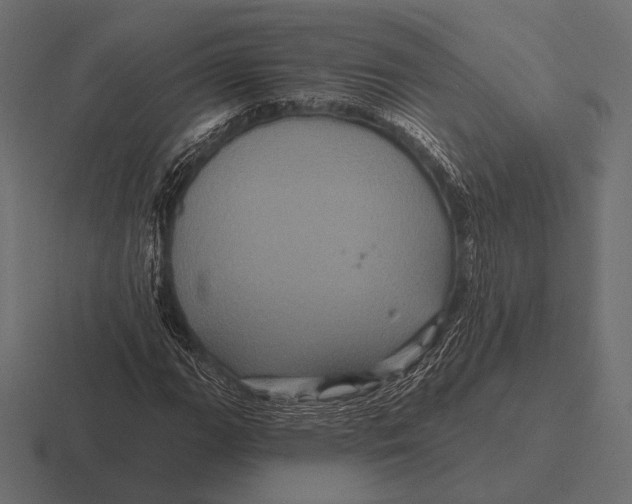 X0000116591111200912291302