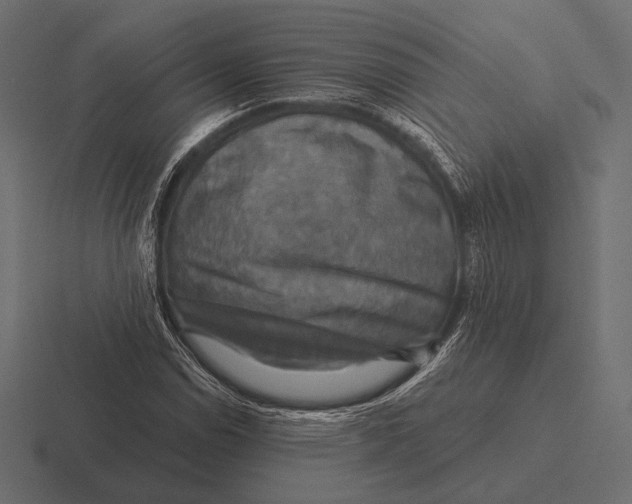 X0000116591114200912291302