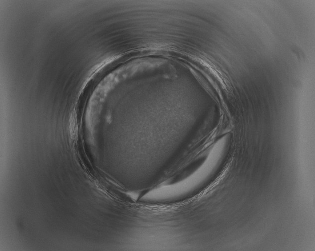 X0000116591117200912291303