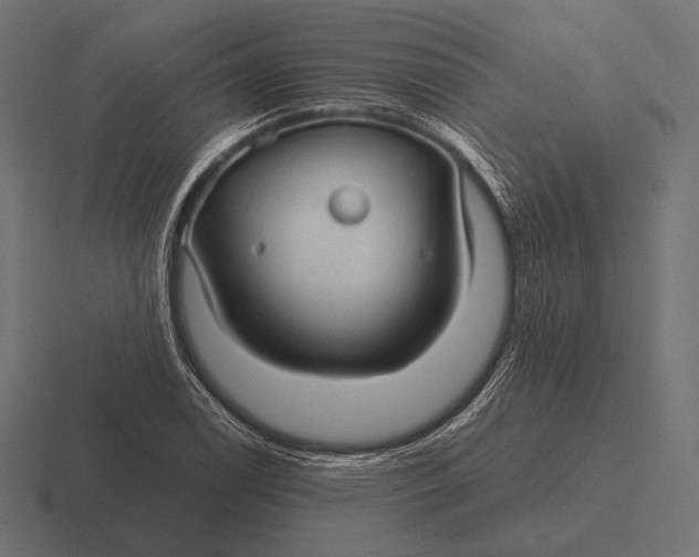 X0000116591122200912291303