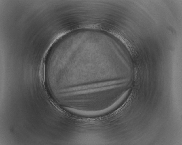 X0000116591123200912291303