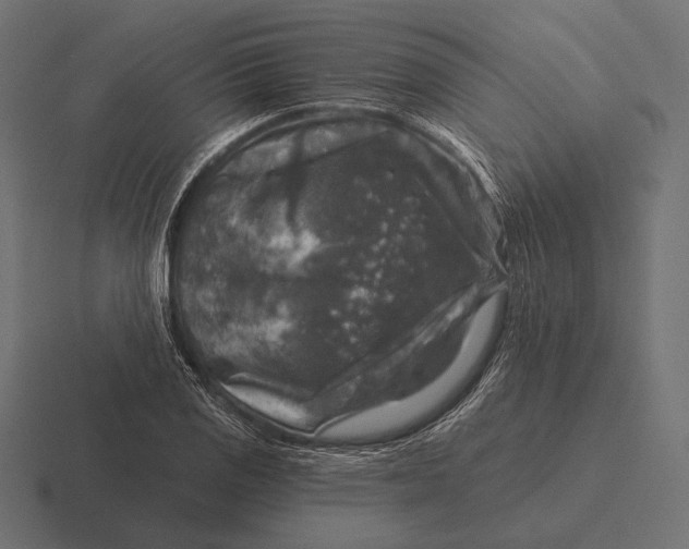 X0000116591125200912291303