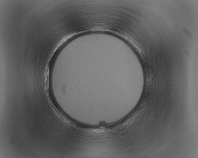 X0000116591126200912291303