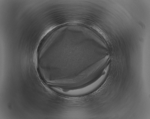 X0000116591127200912291303