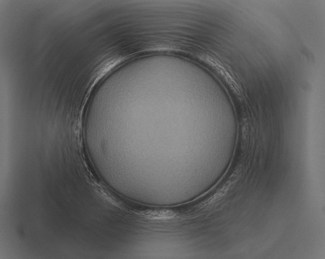 X0000116591129200912291303