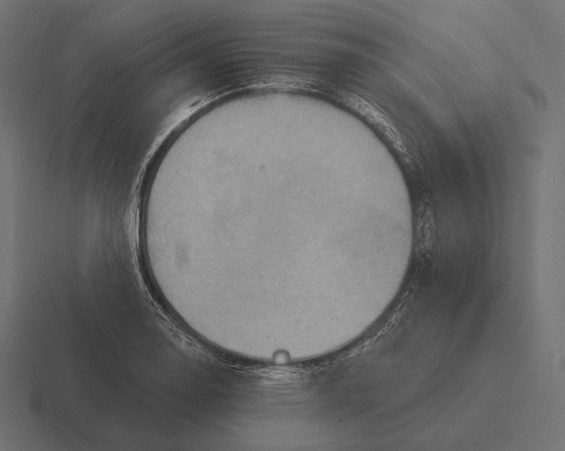 X0000116591130200912291303