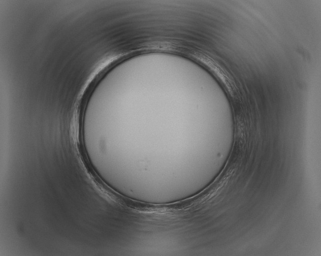 X0000116591131200912291303