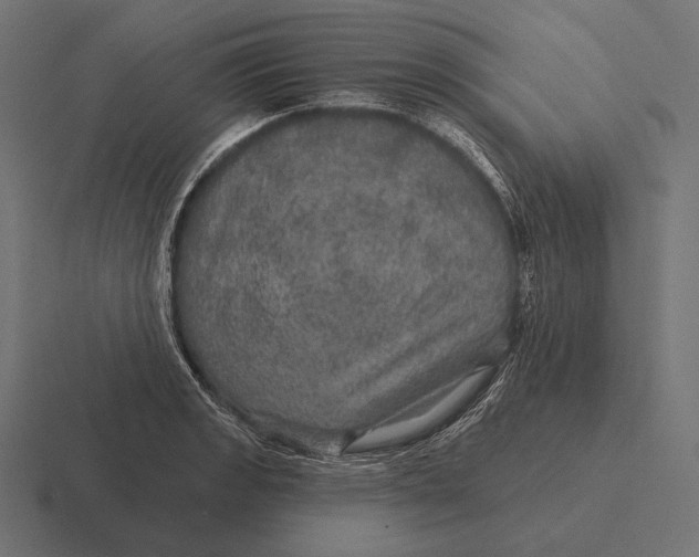 X0000116591133200912291303