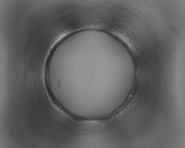 X0000116591135200912291303