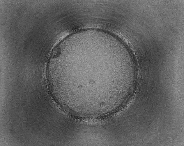 X0000116591137200912291303