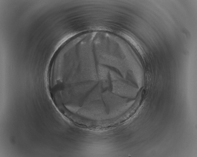 X0000116591141200912291303