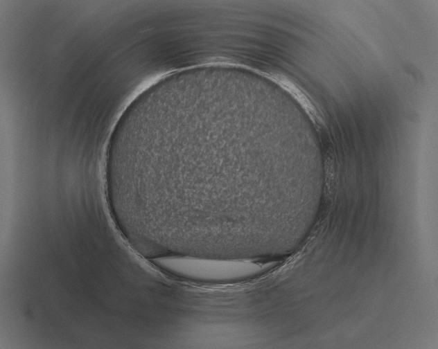 X0000116591142200912291303