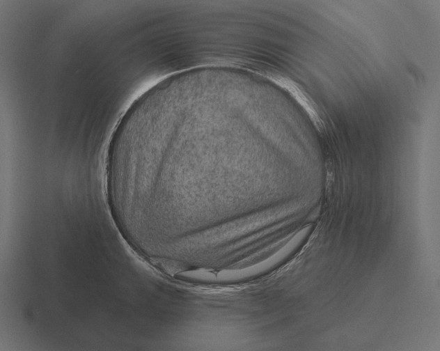 X0000116591143200912291303