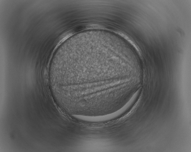 X0000116591145200912291303