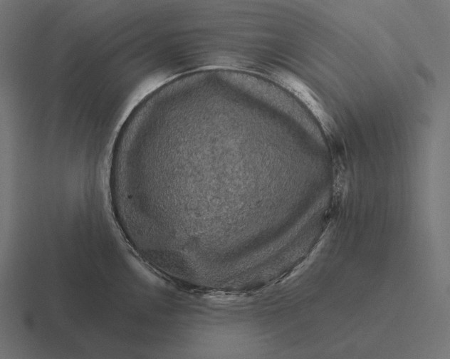 X0000116591146200912291303