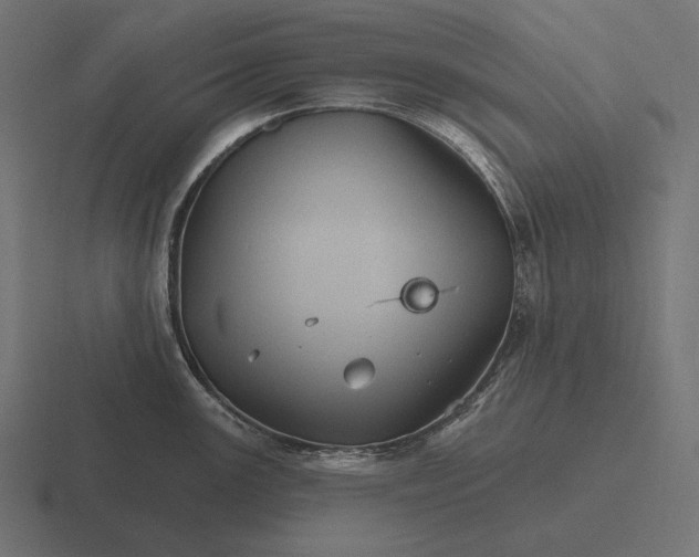 X0000116591147200912291303