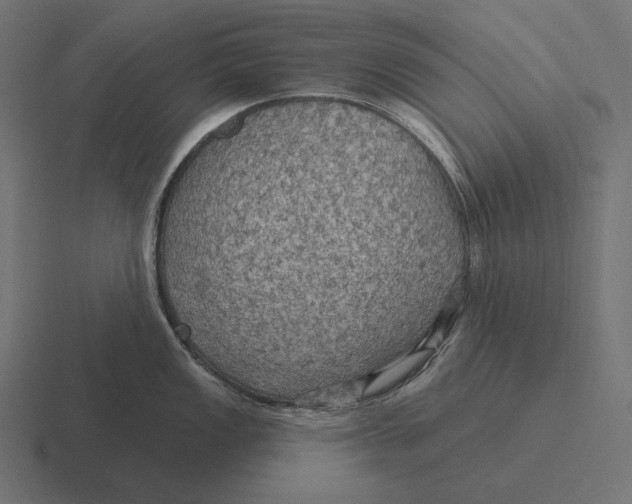 X0000116591149200912291303