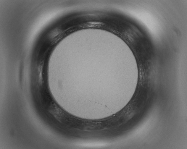 X0000116591150200912291303