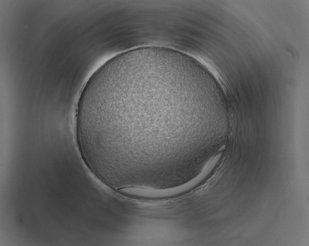 X0000116591151200912291303