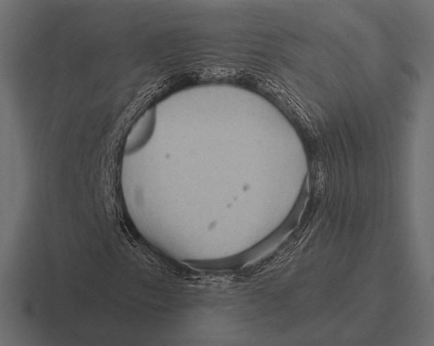 X0000116591153200912291302