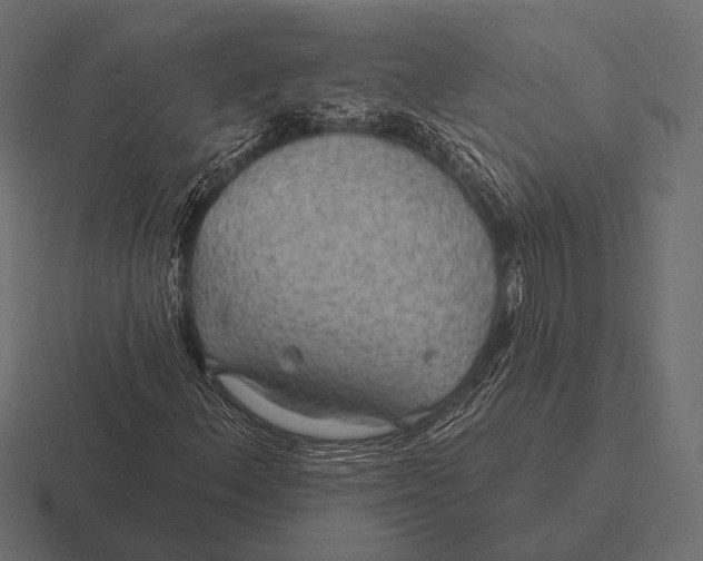 X0000116591156200912291302