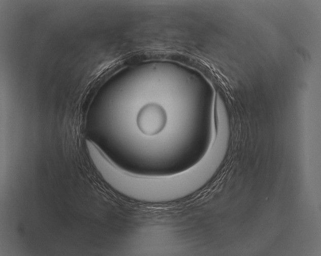 X0000116591157200912291302