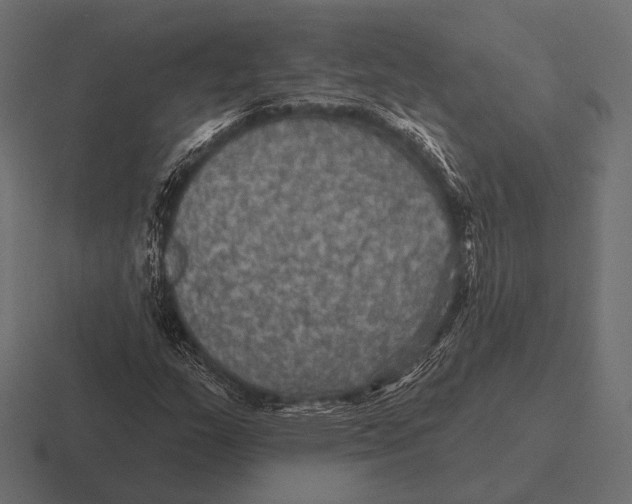 X0000116591159200912291302