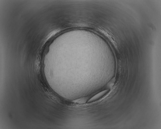 X0000116591163200912291302