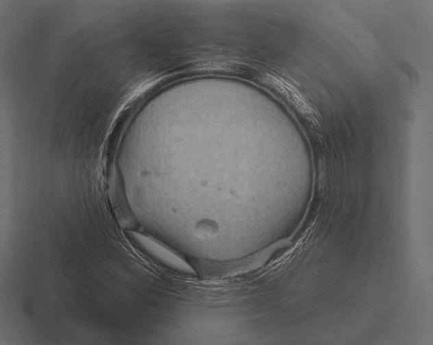 X0000116591164200912291302