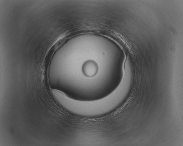 X0000116591165200912291302