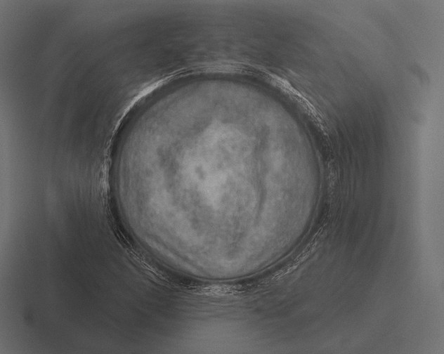 X0000116591166200912291302