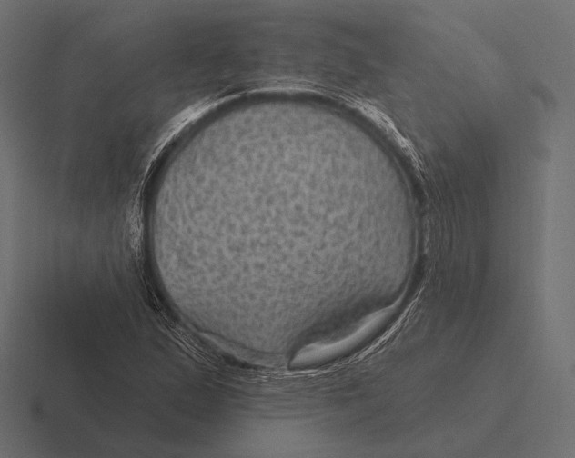 X0000116591167200912291302