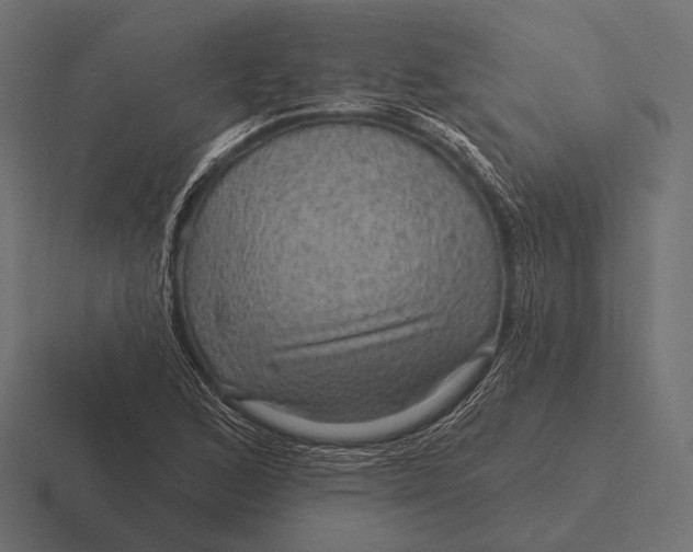 X0000116591168200912291302