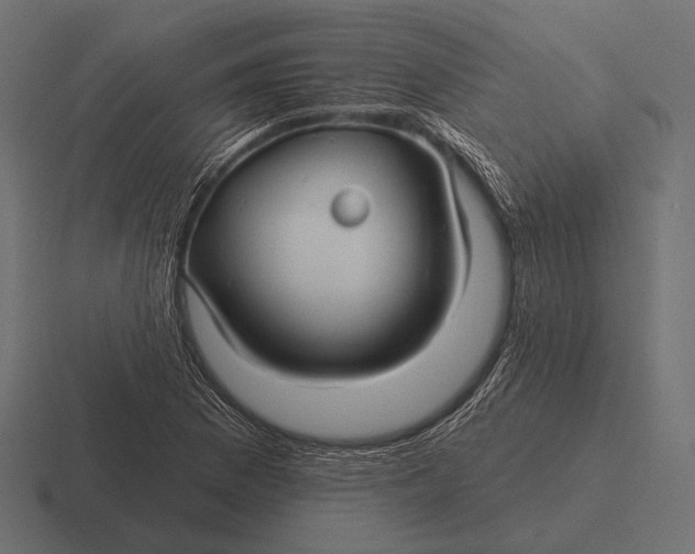 X0000116591169200912291302