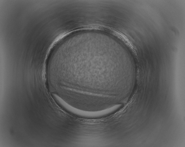 X0000116591172200912291302