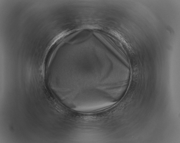 X0000116591173200912291302