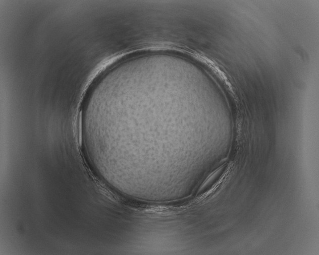 X0000116591175200912291302