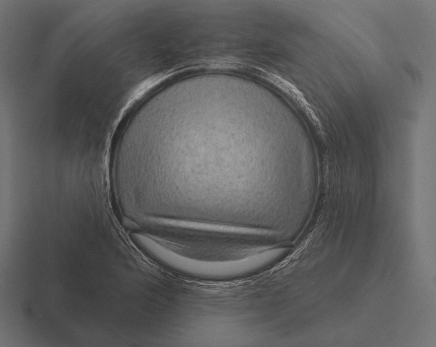 X0000116591176200912291302