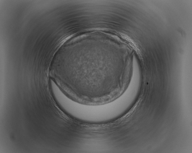 X0000116591177200912291302